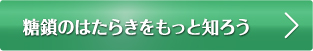 糖鎖のはたらきをもっと知ろう